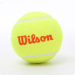 威尔胜 Wilson 训练网球 低压缩网球 耐磨儿童网球